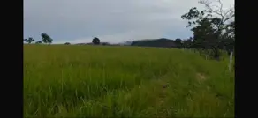 Imagem 4 - Fazenda em Sena Marques, Barra do Garças - MT