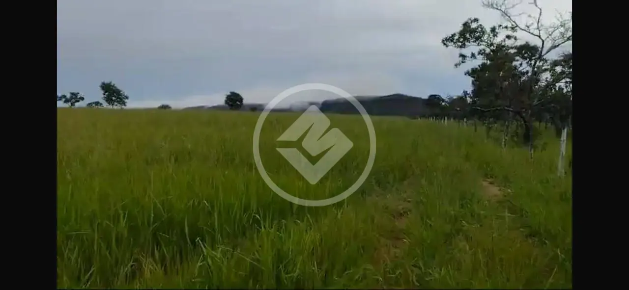 Imagem 4 - Fazenda em Sena Marques, Barra do Garças - MT