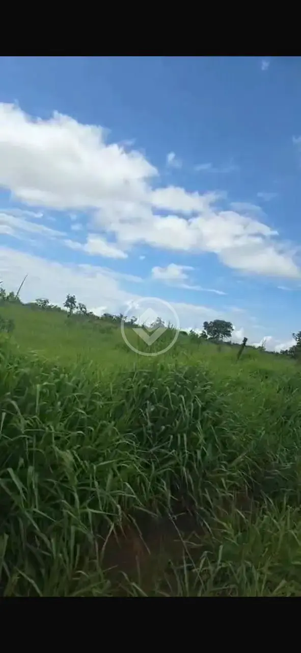 Imagem 2 - Fazenda em Sena Marques, Barra do Garças - MT
