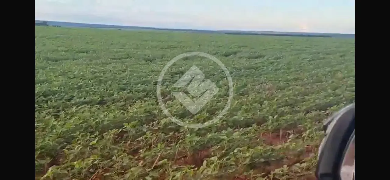 Imagem 5 - Fazenda em Sena Marques, Barra do Garças - MT