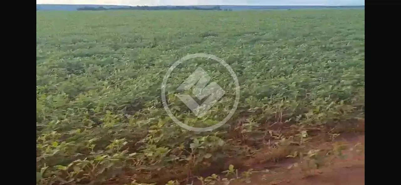 Imagem 3 - Fazenda em Sena Marques, Barra do Garças - MT