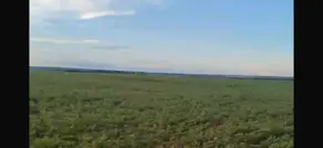 Imagem 6 - Fazenda em Sena Marques, Barra do Garças - MT