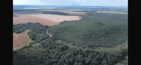 Imagem 2 - Fazenda em Sena Marques, Barra do Garças - MT
