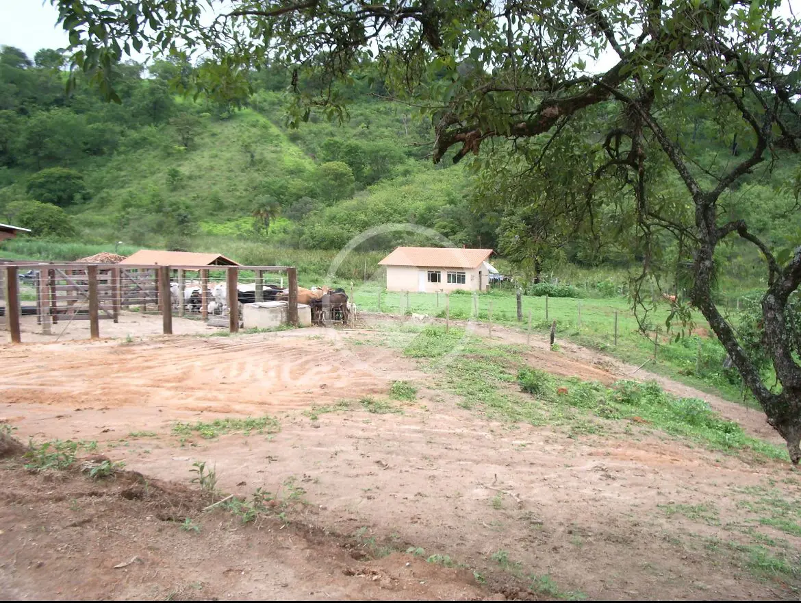 Imagem 4 - Fazenda em Universitário, Sete Lagoas - MG