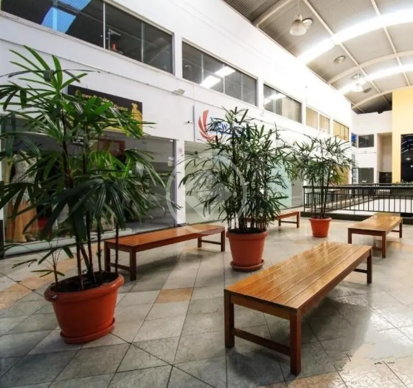 Imagem 2 - Sala Comercial em Estoril, Belo Horizonte - MG