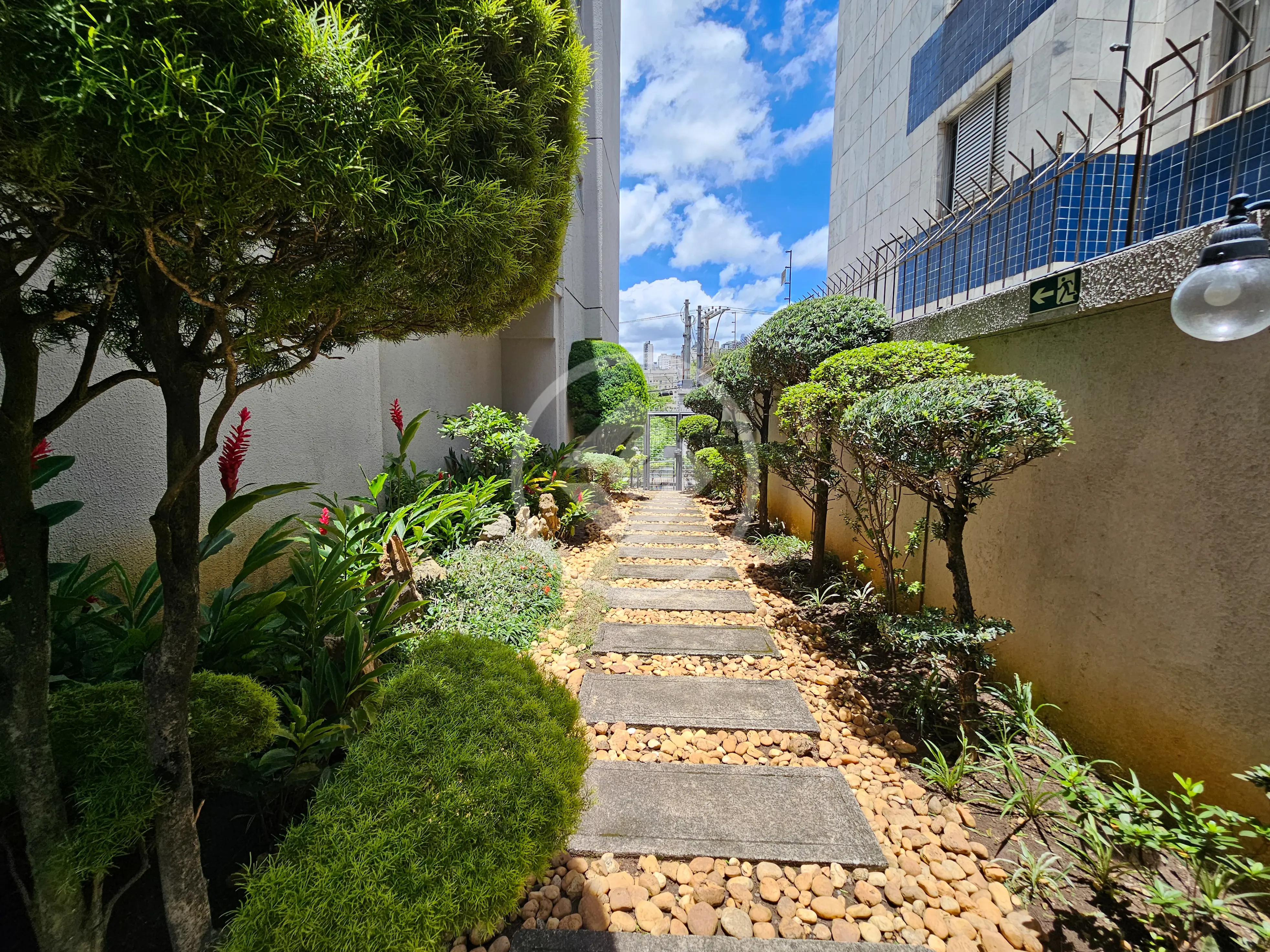 Imagem 6 - Apartamento em Estoril, Belo Horizonte - MG
