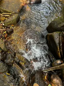 Terreno Centro, Moeda - MG — foto 2
