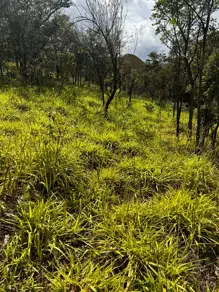 Imagem 2 - Terreno em Centro, Moeda - MG