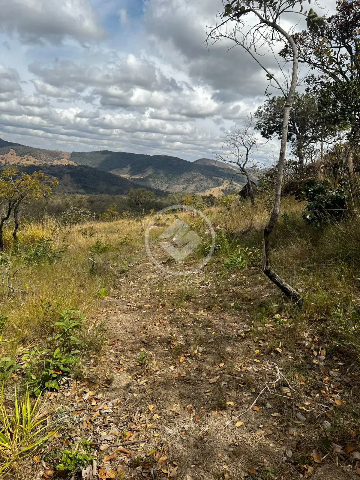 Imagem 1 - Terreno em Centro, Moeda - MG