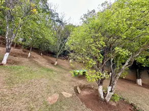 Imagem 6 - Casa Condomínio em Bosque Residencial do Jambreiro, Nova Lima - MG