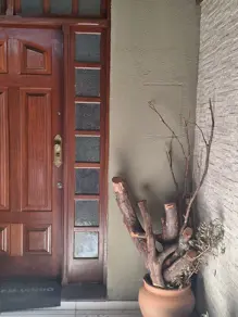 Imagem 3 - Casa em Santa Tereza, Belo Horizonte - MG