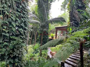 Imagem 5 - Casa Condomínio em Ouro Velho Mansões, Nova Lima - MG