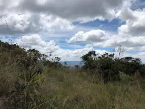 Imagem 3 - Cobertura em Quintas do Morro, Nova Lima - MG