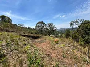 Imagem 3 - Cobertura em Conde, Nova Lima - MG