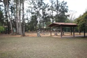 Imagem 2 - Casa Condomínio em Unidade de Vizinhanças Quintas Morro do Chapéu, Nova Lima - MG