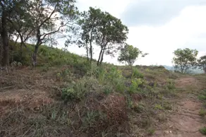 Imagem 2 - Cobertura em Vale do Sereno, Nova Lima - MG