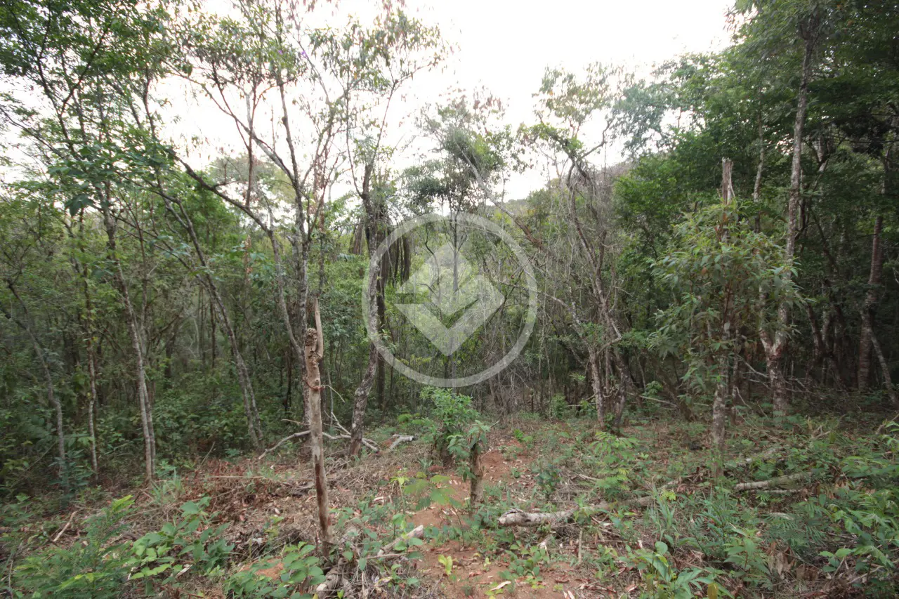 Imagem 1 - Terreno Condomínio em Canto da Mata, Nova Lima - MG