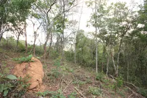 Imagem 2 - Terreno Condomínio em Canto da Mata, Nova Lima - MG