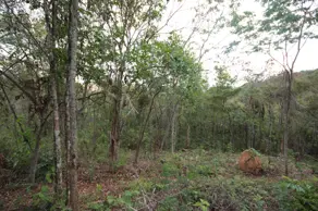 Imagem 4 - Terreno Condomínio em Canto da Mata, Nova Lima - MG
