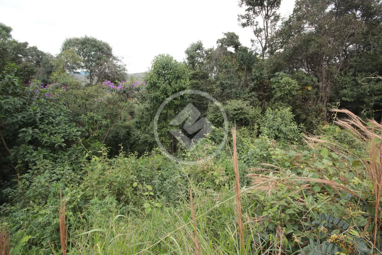 Image 2 - Terreno Condomínio em Canto da Mata, Nova Lima - MG