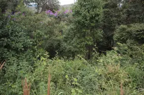 Imagem 2 - Terreno Condomínio em Canto da Mata, Nova Lima - MG