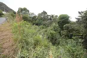 Imagem 5 - Terreno Condomínio em Canto da Mata, Nova Lima - MG