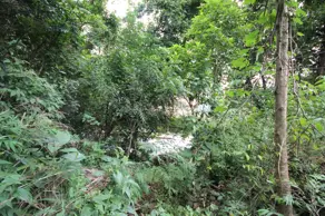 Imagem 5 - Terreno Condomínio em Quintas do Sol, Nova Lima - MG