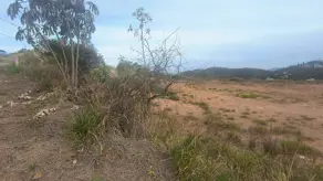 Imagem 5 - Cobertura em Vale do Sereno, Nova Lima - MG
