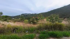 Imagem 6 - Cobertura em Vale do Sereno, Nova Lima - MG