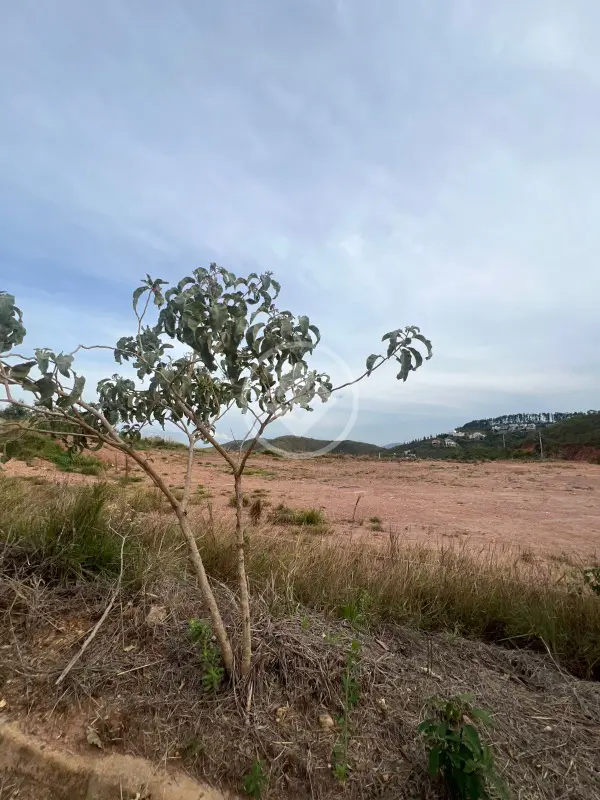 Terreno condomínio à venda no bairro Vila D'el Rey — foto 5