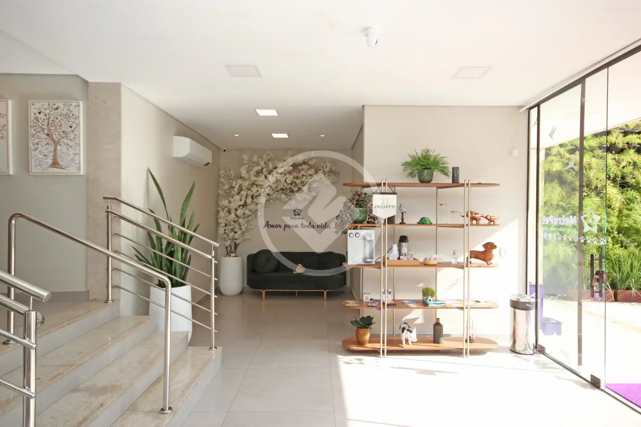 Imagem 1 - Casa Comercial em Santa Efigênia, Belo Horizonte - MG