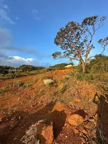 Imagem 3 - Terreno Condomínio em Balneário Água Limpa, Nova Lima - MG