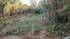 Terreno Condomínio Veredas das Geraes, Nova Lima - MG — foto 1
