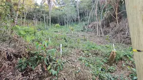 Imagem 2 - Terreno Condomínio em Veredas das Geraes, Nova Lima - MG