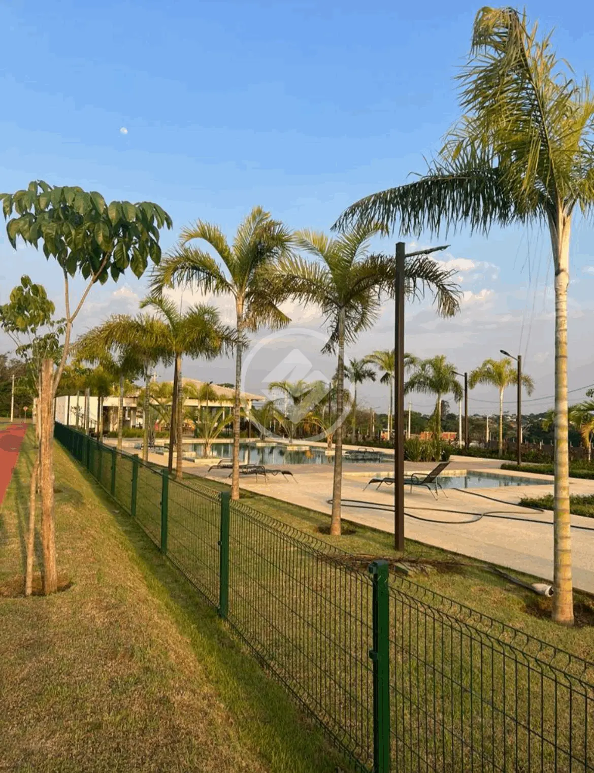 Imagem 4 - Terreno em Cardoso, Aparecida de Goiânia - GO
