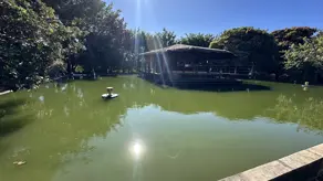 Chácara Núcleo Rural Lago Oeste (Sobradinho), Brasília - DF — foto 2