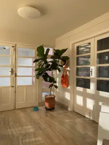Imagem 5 - Casa em Setor Sul, Goiânia - GO