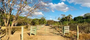 Fazenda Centro, Palmeiras de Goiás - GO — foto 2