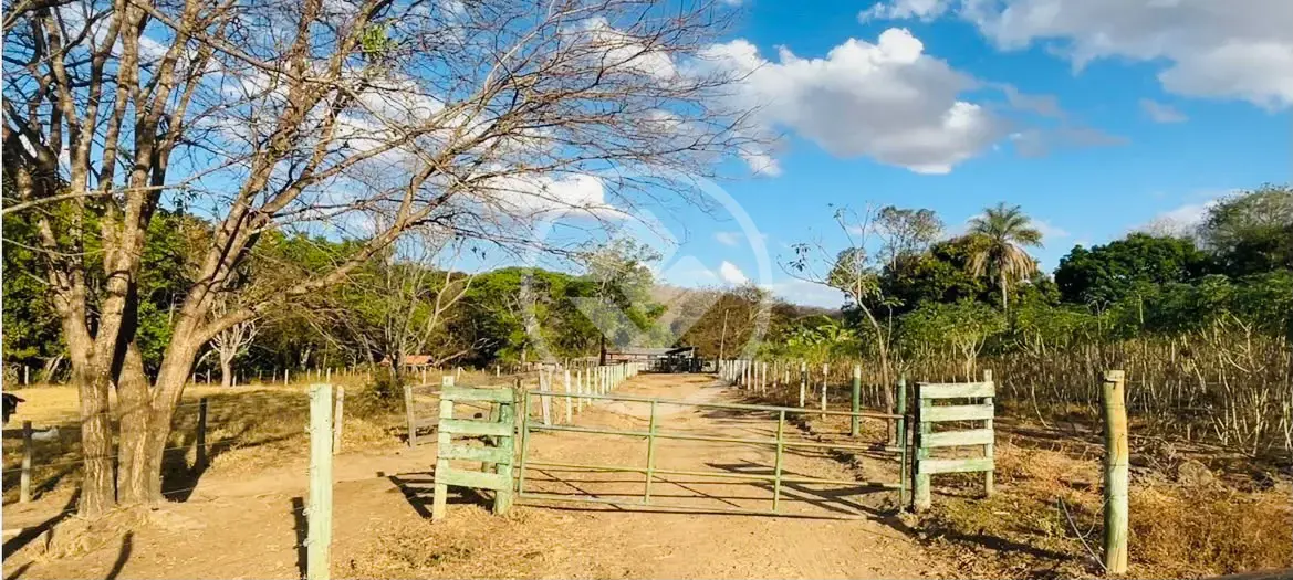 Image 2 - Fazenda em Centro, Palmeiras de Goiás - GO