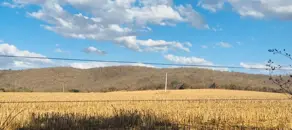 Imagem 2 - Fazenda em Centro, Palmeiras de Goiás - GO