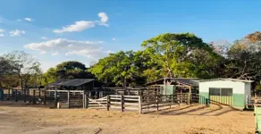 Imagem 4 - Fazenda em Centro, Palmeiras de Goiás - GO