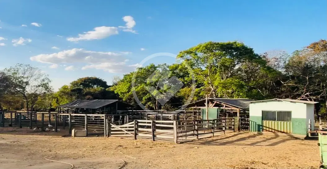 Image 5 - Fazenda em Centro, Palmeiras de Goiás - GO