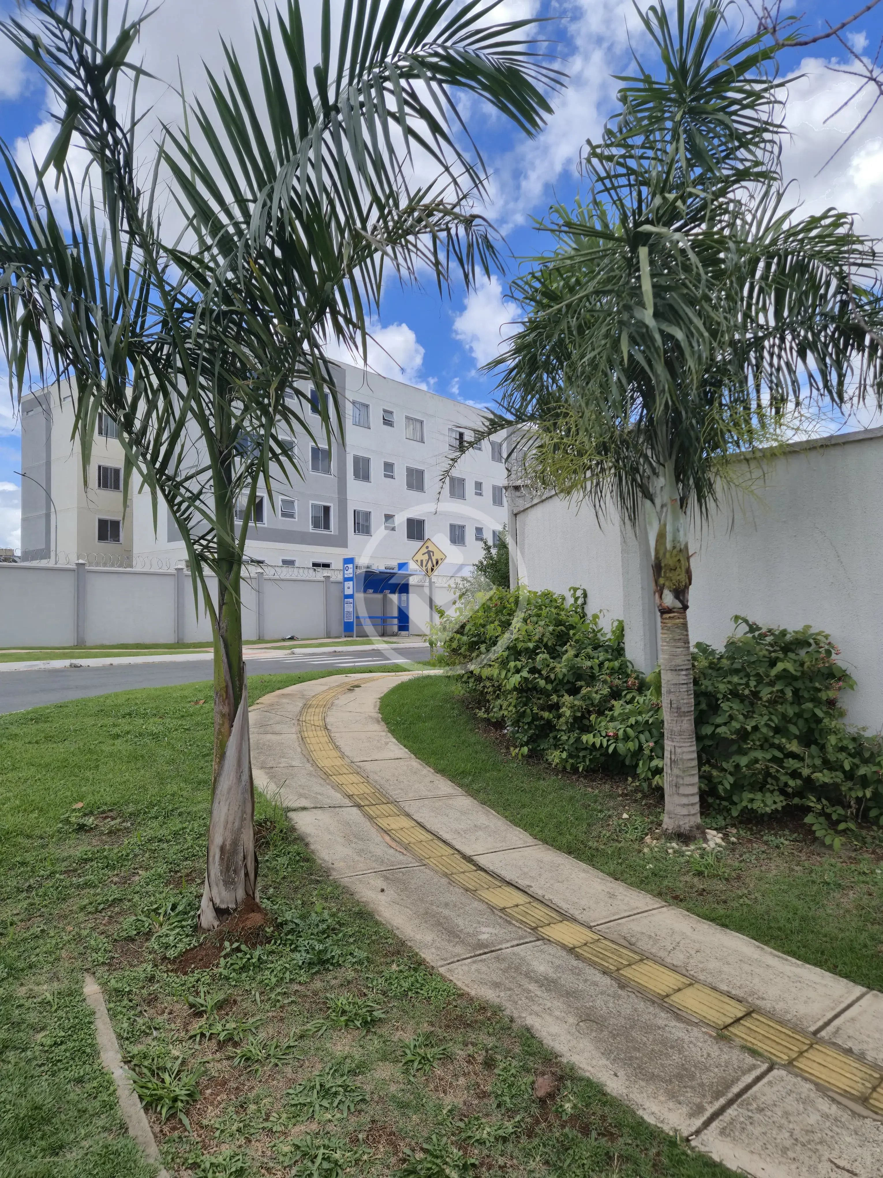 Imagem 1 - Apartamento em Cardoso Continuação, Aparecida de Goiânia - GO