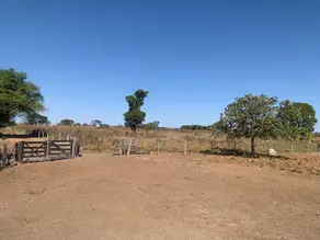 Imagem 5 - Terreno em Centro, Porto Alegre do Norte - MT