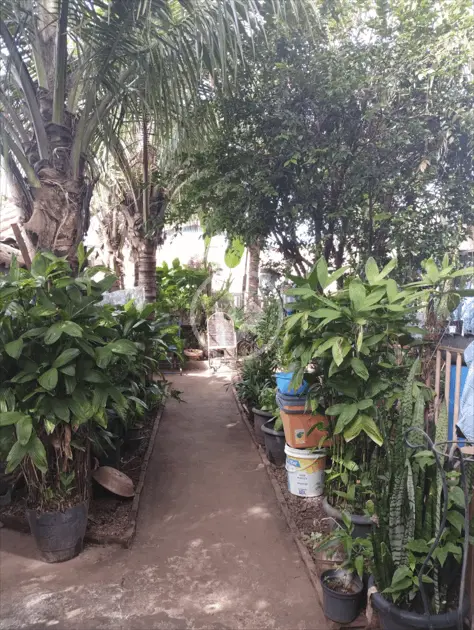 Imagem 3 - Casa em Papillon Park - Complemento, Aparecida de Goiânia - GO