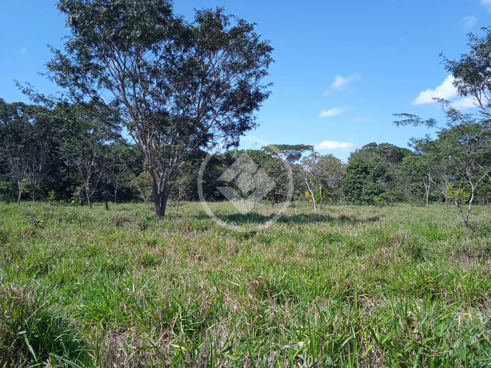 Imagem 4 - Terreno em Estância Vargem Bonita, Senador Canedo - GO