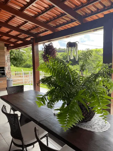 Imagem 2 - Chácara em Zona Rural, Inhumas - GO
