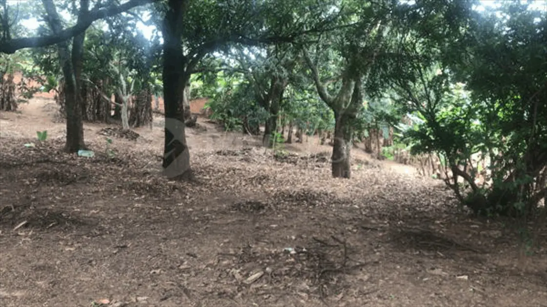 Imagem 4 - Chácara em JARDIM NOVO MUNDO, Goiânia - GO