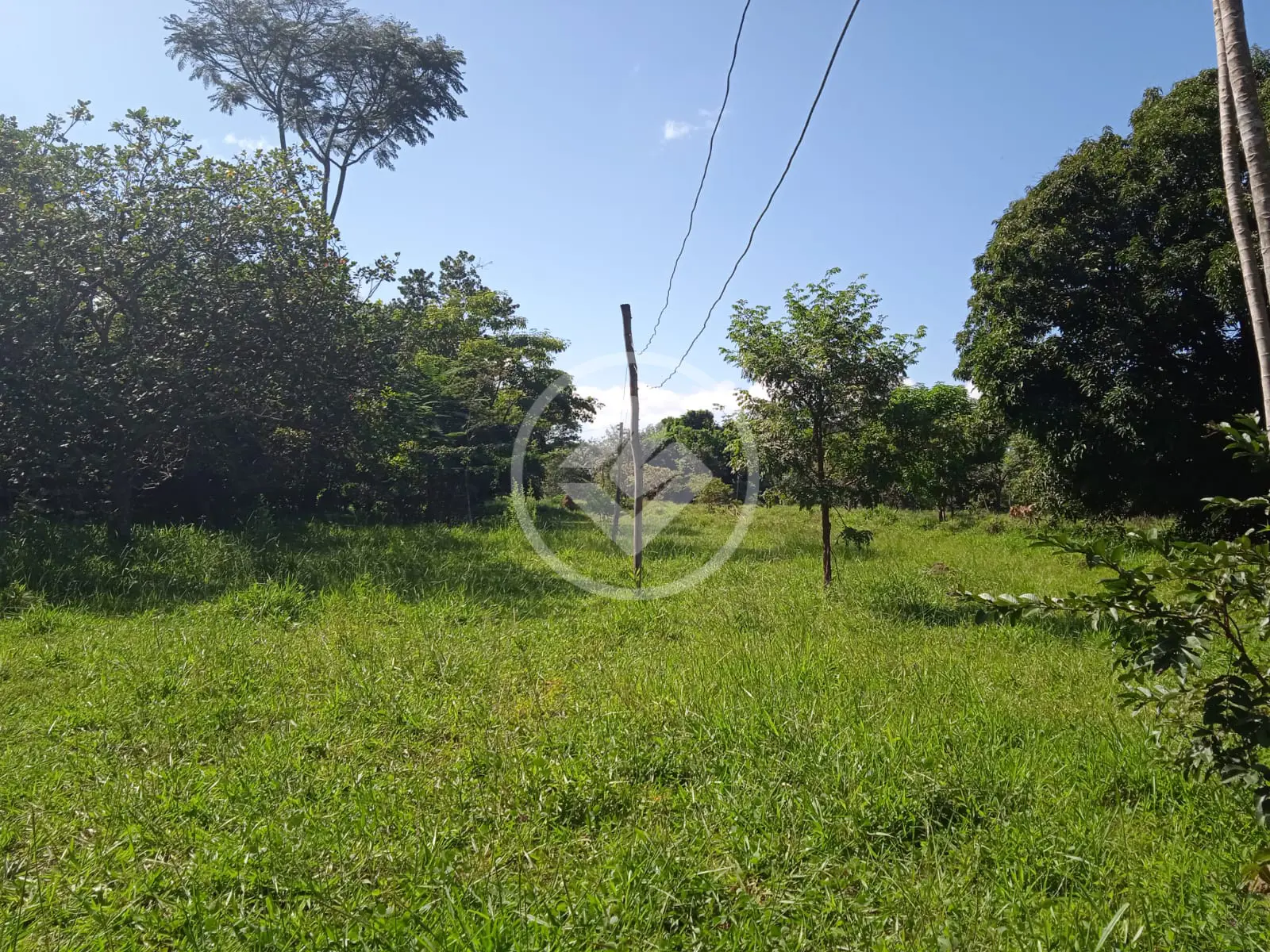 Imagem 6 - Terreno em Estância Vargem Bonita, Senador Canedo - GO