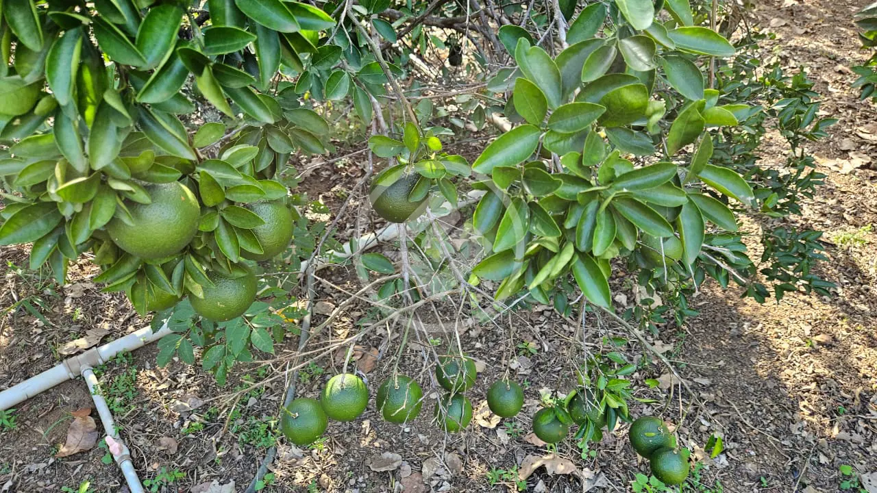 Imagem 6 - Terreno em Condomínio Residencial dos Sonhos, Hidrolândia - GO